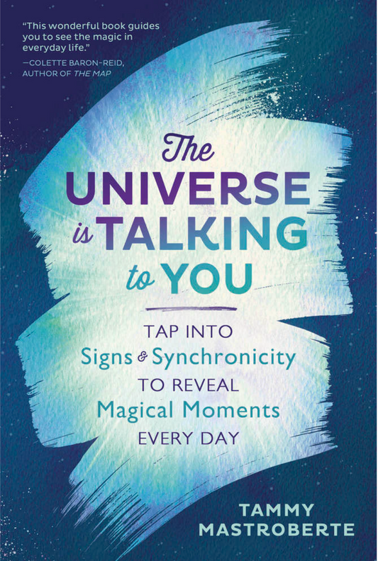The Universe Is Talking to You by Tammy Mastroberte